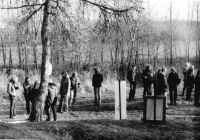 Exhibition in Šibenik in 1982