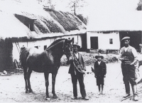 Anna Sedláková's home. The family estate in Tis in 1902