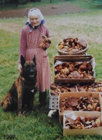 Marie Spilková, current photography, 1977