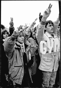 Demonstrace na Smetanově náměstí v Litomyšli 27. 11. 1989