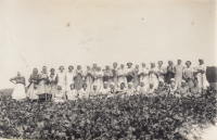 Women working in a large farm (witness´s mother between them), probably time before World War II 