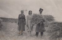 Parents František and Josefa Hýskovi, aunt Marie is in  the middle 