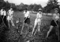 With colleagues at a summer job in Chudoslavice, 1947