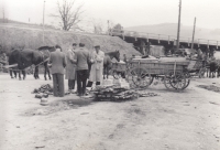 Běloves - provizorní pilotový most na železniční přípojce Náchod-Chudoba, budovaný od února do dubna 1945