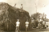 Na voze se senem tchán Ladislav Jílek (1908–1990), Jan Jílek (*1975), dole Ladislav Jílek (*1978), Veronika Jílková (1976*), Babka, 1989 