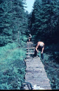 Mountain Rescue service in Jizerské hory – building a wooden road