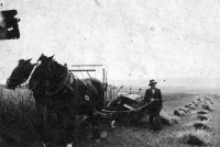 Monika Ruská's father Josef Theuer next to a plough / around 1935