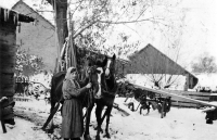 Matka Moniky Ruské Otilie Theuerová / kolem roku 1940