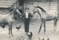 The husband of the witness at the age of fifteen with her foals, Rovensko, undated