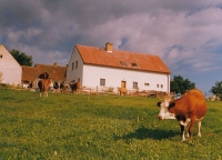 Hladná u Albrechtic, addiction treatment centre, 1991-1992