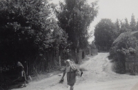 Babička Koutná nese roští, Bor, 40. léta 20. století