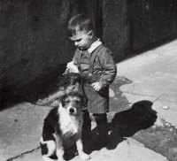 Witness´s father Stanislav Zavřel Jr. in 1941