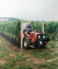 Karel Válka při práci ve vinohradě