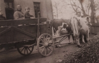 Maternal grandmother on a wagon