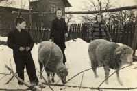 Václav Malát with his sister Stanislava before their father's imprisonment, 1950s