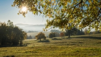 A photograph from the Šumava Odyssey series