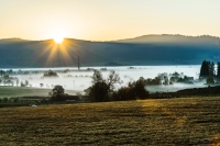 A photograph from the Šumava Odyssey series