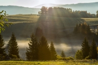 A photograph from the Šumava Odyssey series