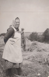 Anna Brázdová, babička Hany Bébrové, při žních