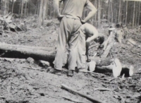 Work in the forest, Forestry plant Hanušovice