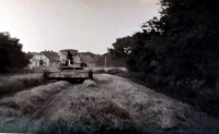 The last harvest on the family farm in Černovír, 1992