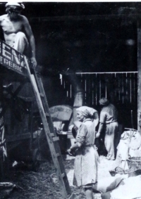 Work during the harvest (1970s)