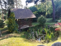 View of the Sofronka Arboretum