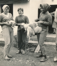 Compulsory practice in secondary education, first half of the 1960s