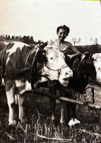 Ladislav Müller na letní brigádě na statku (poč. 50. let)