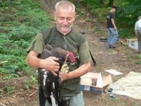 Lubomír Peške s orlem skalním před vypuštěním orla v podhůří Beskyd