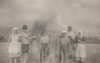 Harvest in Hustopeče, from the left: mother Hildegarde, Jaroslav Pátek, classmate, sister Dana and grandparents, 1952