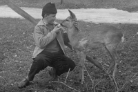 Václav Myslivec v roce 1964 se srnčetem u rodného stavení v osadě Cimbál u Semil