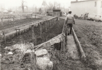 Rodinné Řehákovo zahradnictví v Polici nad Metují, stav po roce 1989