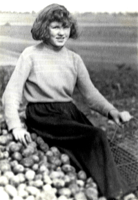 Želmíra Živná at compulsory potatoes picking work, 1950