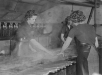 Worker in brocade production in Hedva in Rýmařov (1950s)