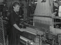 Weaving at the Jacquard loom in Hedva in Rýmařov (1960s)