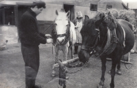 In the yard of the Špicl family in Rovensko, 1980s