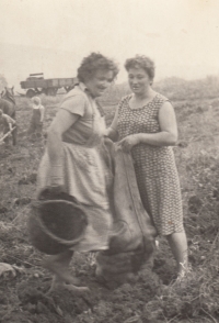 Her mother (on the right) worked in the JZD (Unified agriculture cooperative) in Valeč since 1957.