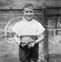 Witness with a turtle, Travčice near Terezín, 1954