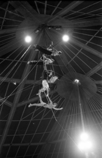 Circus performance