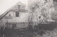 Das Elternhaus in Petschau, Kammermacherei Otto und Jank 
