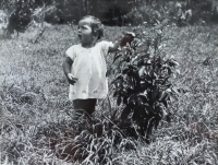  Líba as a girl (one and a half years old), July 12, 1934