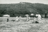 Farming work over Přerovec in the 1950s