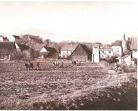 Field of Jiří Hübner's family