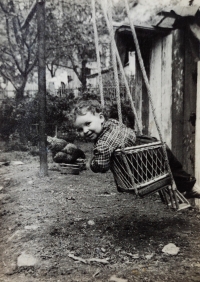 Daughter Irena in a swing left by the house in Frýdlant after a displaced German family, ca. 1956