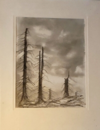 Ink drawing by Josef Mrňák - spruce trees in the Jizerské hory infested by bark beetle in the 1980s