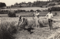 Alena Dixon, rozená Trčková, a její rodiče Karolina a Petr Trčkovi v Kolinci na svém poli pod Hůrkou, 1970