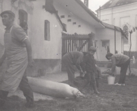 Zabijačka v Opavě, 70. léta 20. století