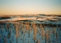 Červený vrch, Jizerské hory, rok 1992