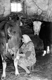 Matka Felixe Döhnera Valerie na statku v Třebomi začátkem 70. let